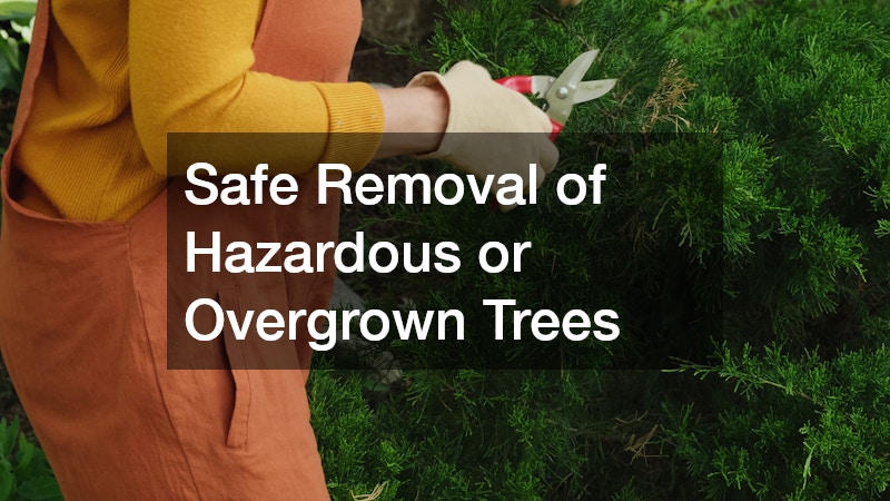 Safe Removal of Hazardous or Overgrown Trees