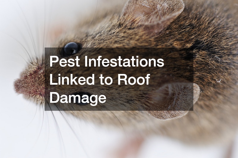 Pest Infestations Linked to Roof Damage