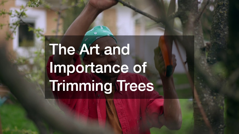 The Art and Importance of Trimming Trees
