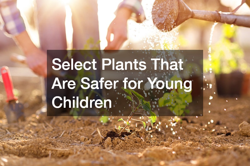 Select Plants That Are Safer for Young Children