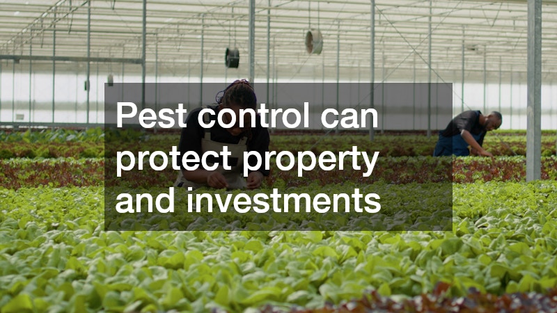 Pest control can protect property and investments
