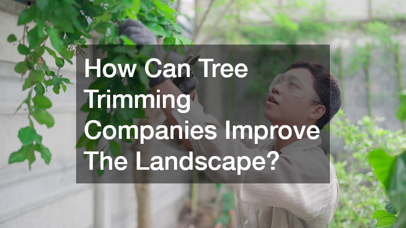 How Can Tree Trimming Companies Improve The Landscape?