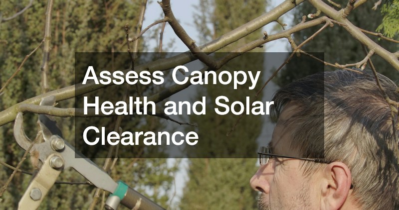 Assess Canopy Health and Solar Clearance