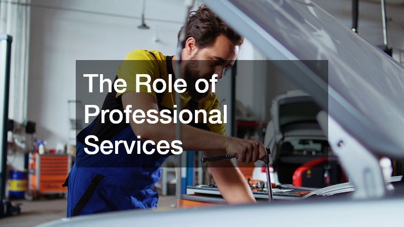 The Role of Professional Services