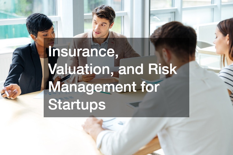 Insurance, Valuation, and Risk Management for Startups