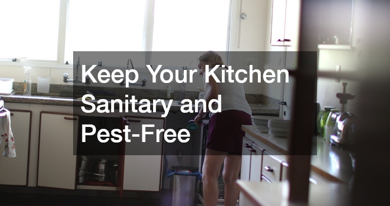 Keep Your Kitchen Sanitary and Pest-Free