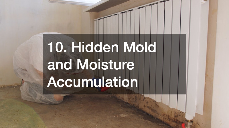 10. Hidden Mold and Moisture Accumulation
