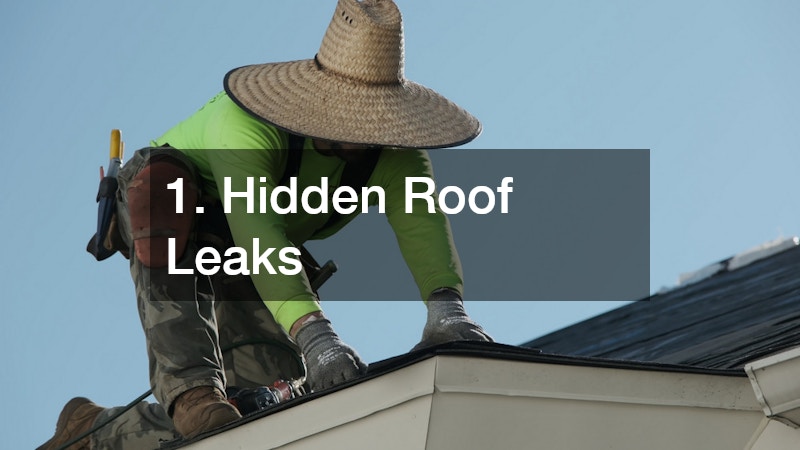 1. Hidden Roof Leaks