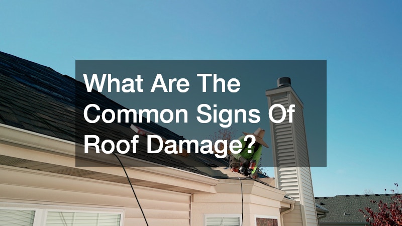 What Are The Common Signs Of Roof Damage?