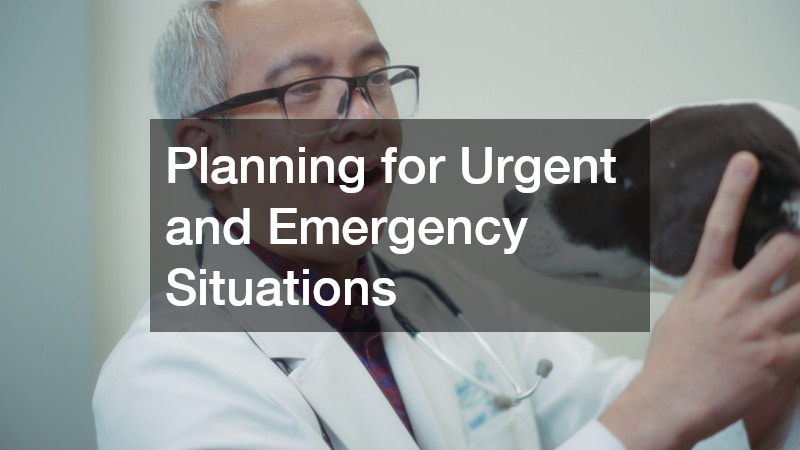 Planning for Urgent and Emergency Situations