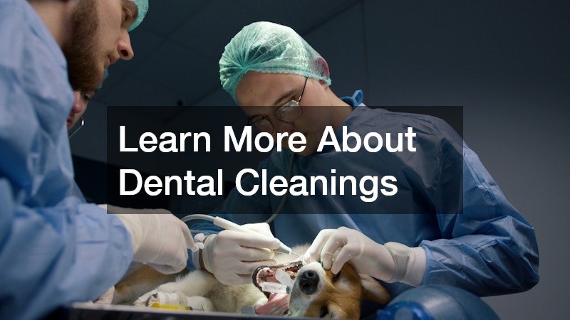 Learn More About Dental Cleanings