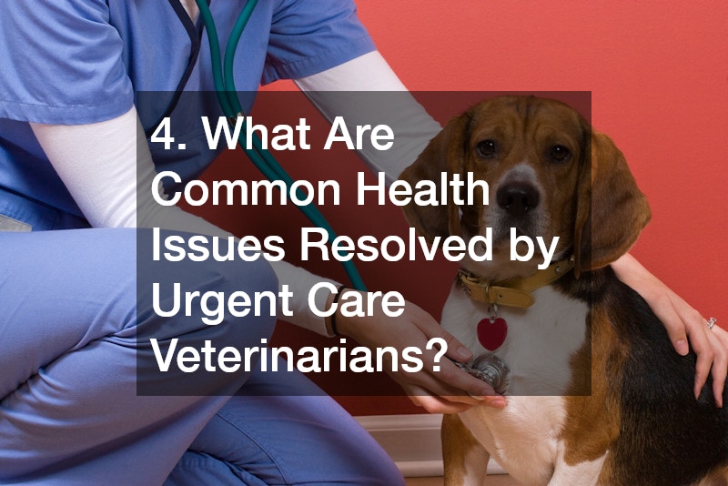 4. What Are Common Health Issues Resolved by Urgent Care Veterinarians?