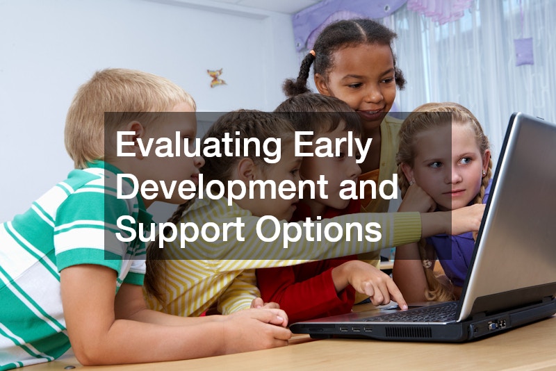 Evaluating Early Development and Support Options