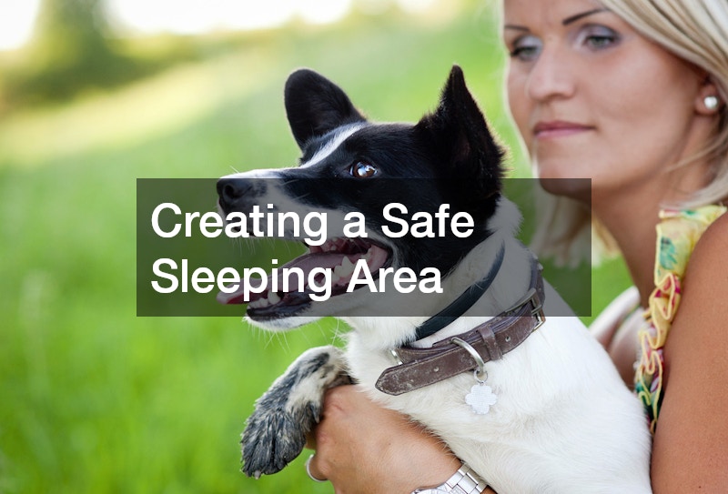 Creating a Safe Sleeping Area