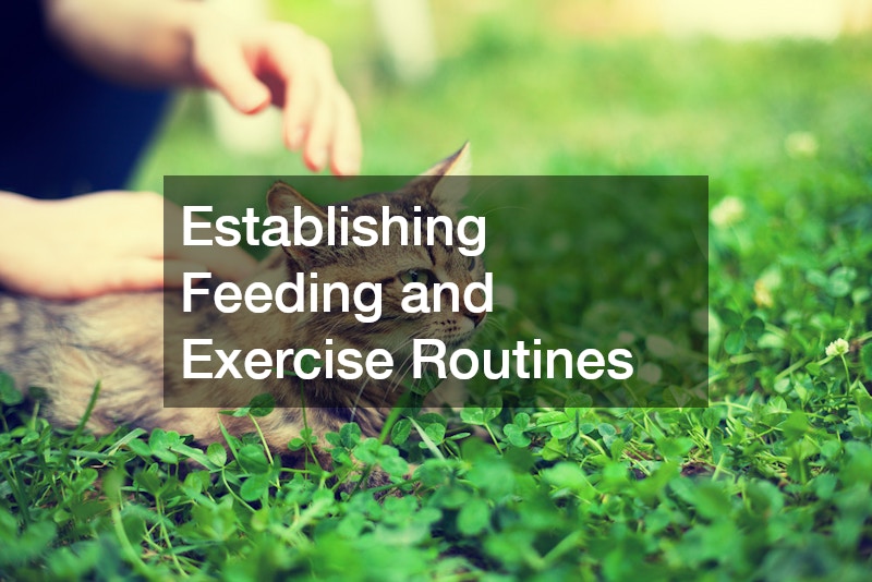 Establishing Feeding and Exercise Routines