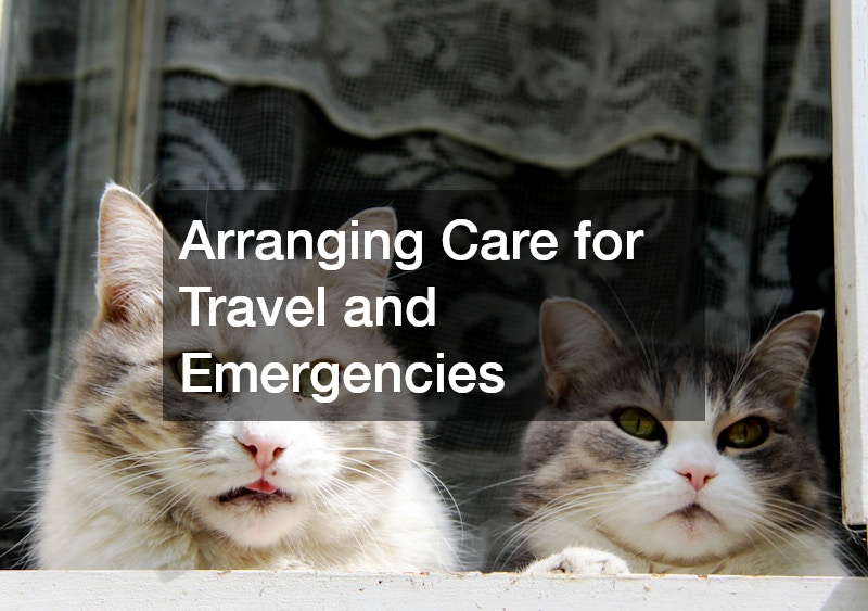 Arranging Care for Travel and Emergencies