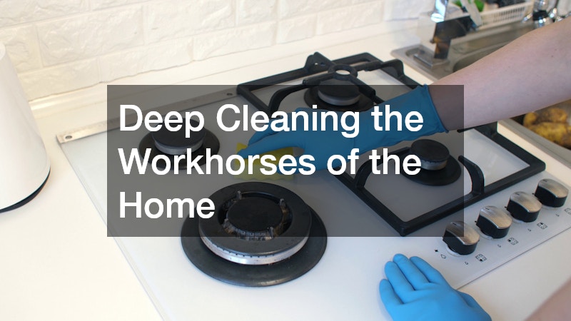 Deep Cleaning the Workhorses of the Home