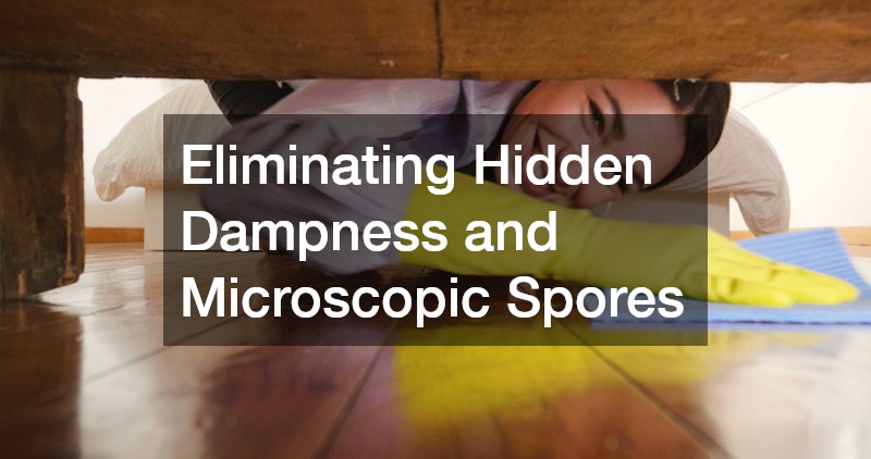 Eliminating Hidden Dampness and Microscopic Spores