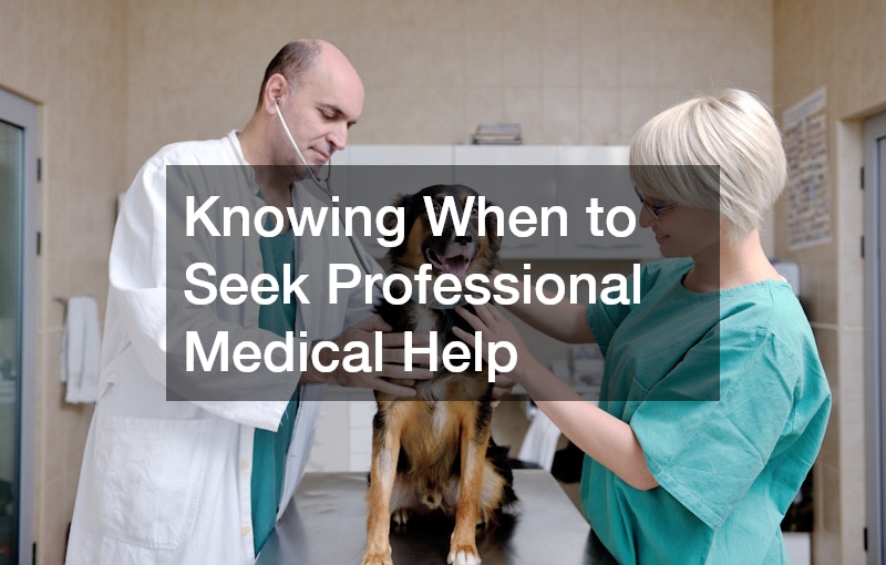 Knowing When to Seek Professional Medical Help