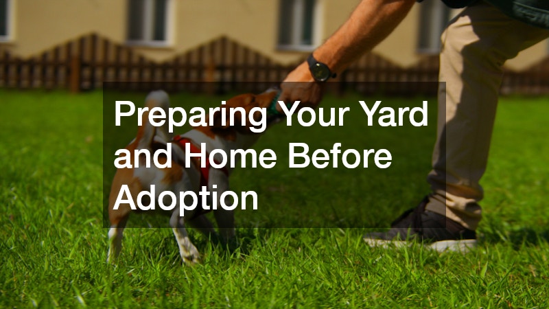 Preparing Your Yard and Home Before Adoption
