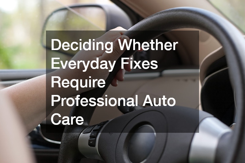 Deciding Whether Everyday Fixes Require Professional Auto Care