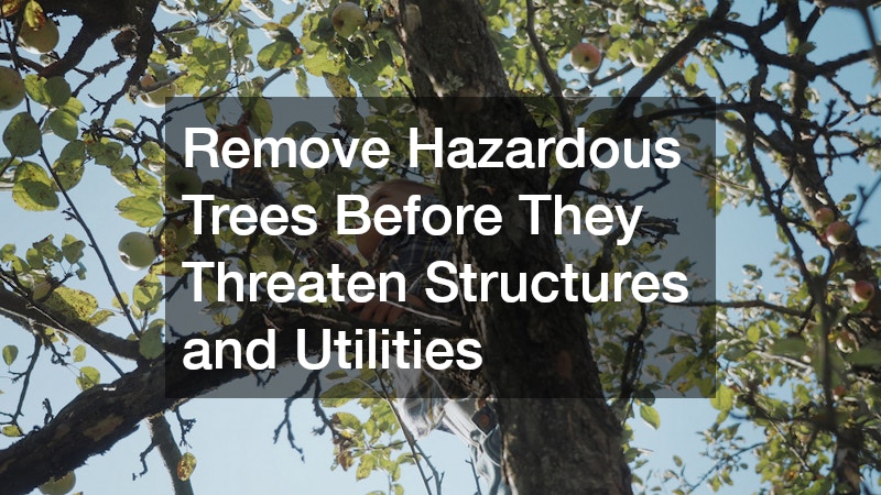 Remove Hazardous Trees Before They Threaten Structures and Utilities