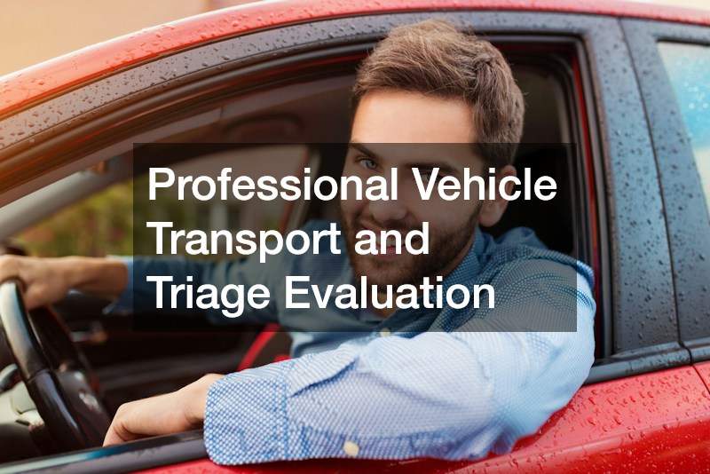 Professional Vehicle Transport and Triage Evaluation