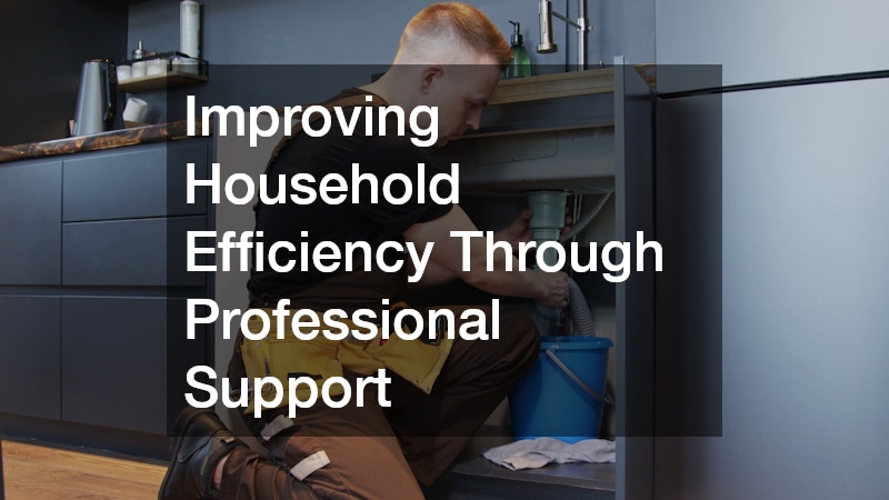 Improving Household Efficiency Through Professional Support