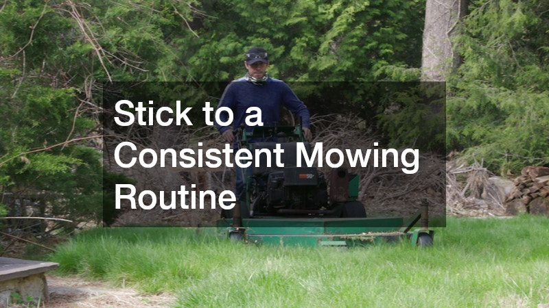 Stick to a Consistent Mowing Routine