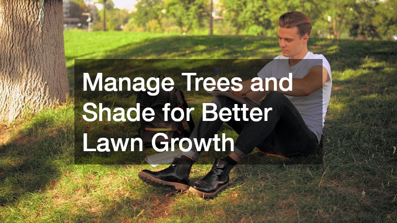 Manage Trees and Shade for Better Lawn Growth