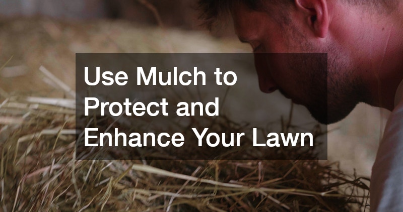 Use Mulch to Protect and Enhance Your Lawn