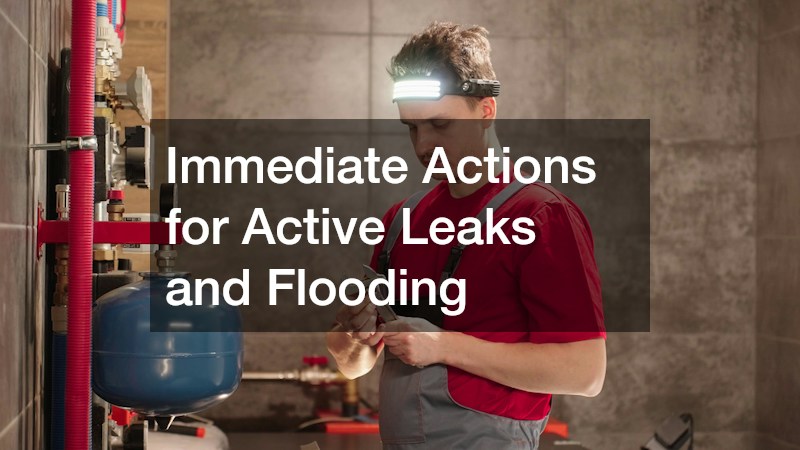 Immediate Actions for Active Leaks and Flooding