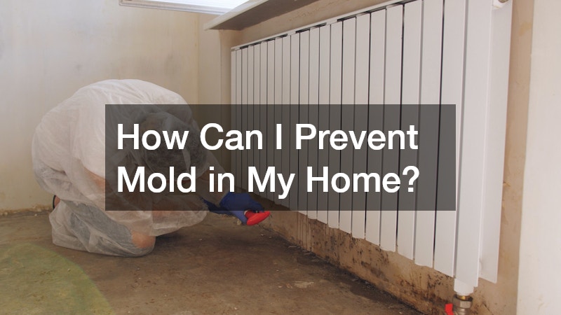 How Can I Prevent Mold in My Home?