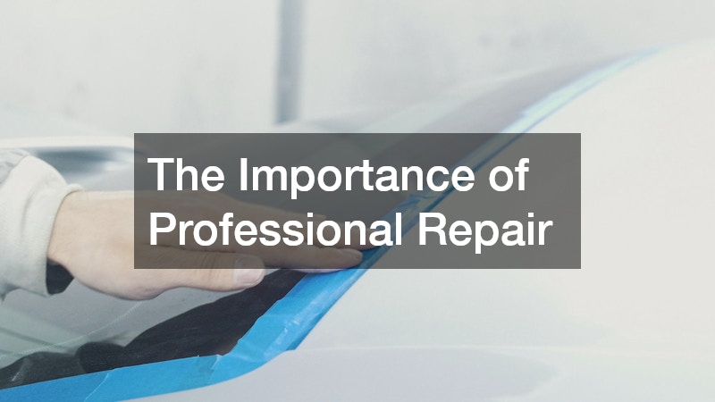 The Importance of Professional Repair