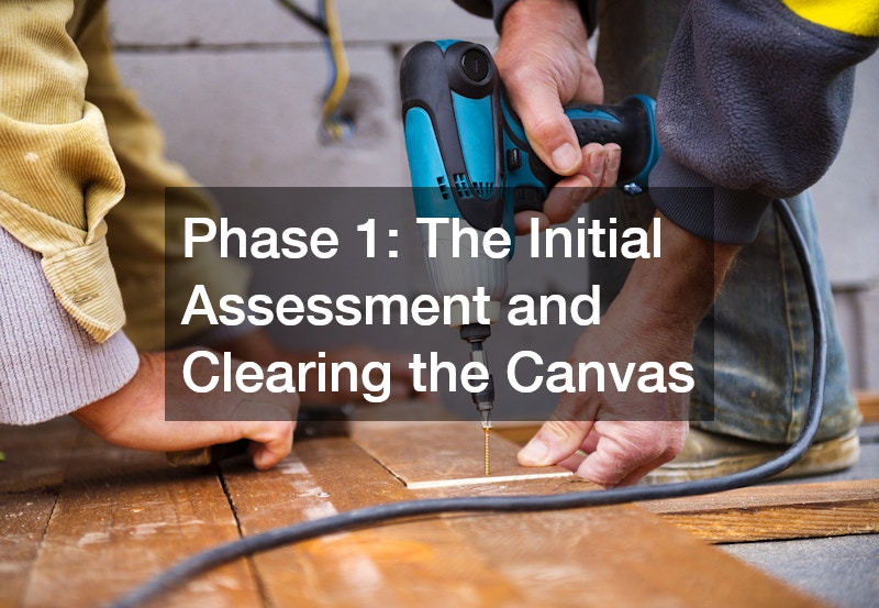 Phase 1: The Initial Assessment and Clearing the Canvas