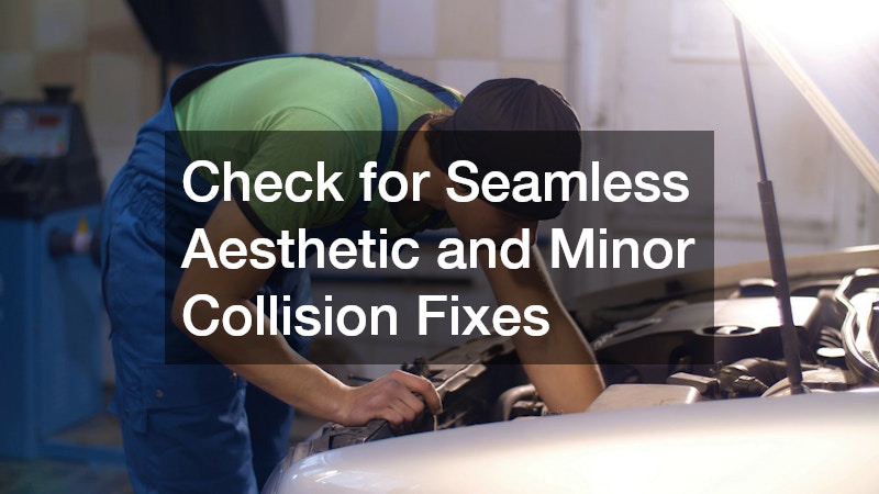 Check for Seamless Aesthetic and Minor Collision Fixes