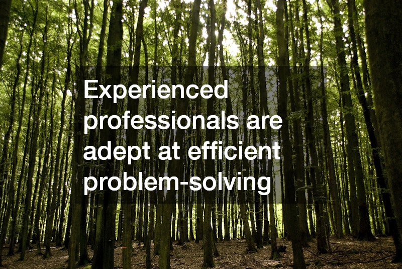 Experienced professionals are adept at efficient problem-solving