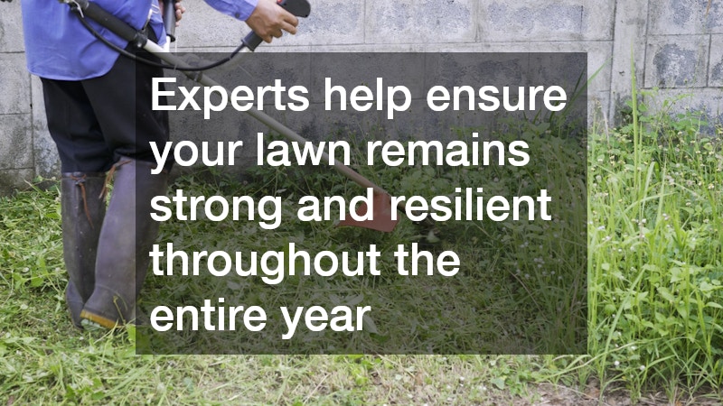 Experts help ensure your lawn remains strong and resilient throughout the entire year