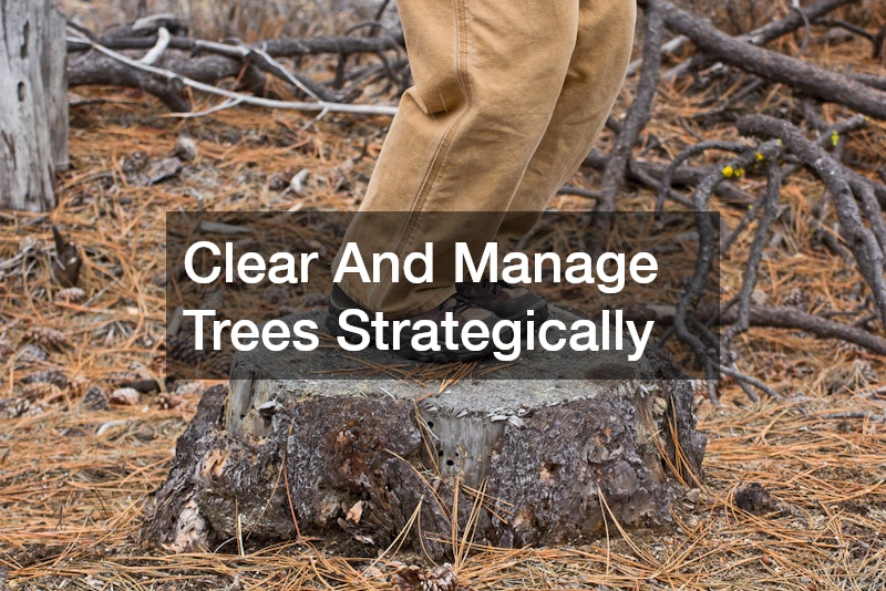 Clear And Manage Trees Strategically
