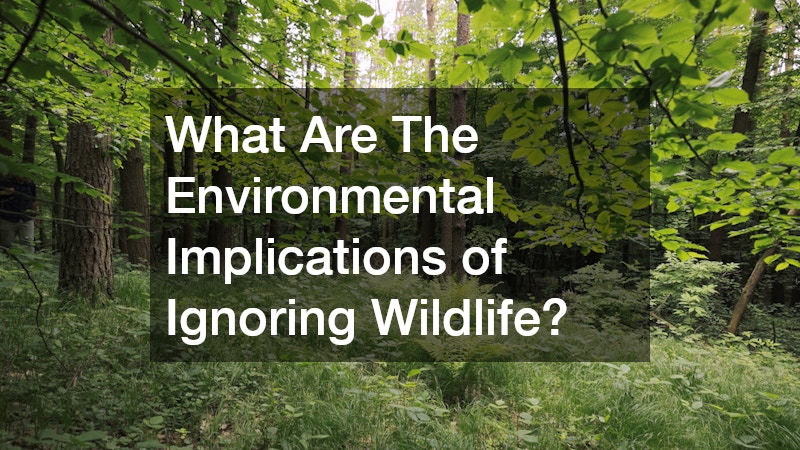 What Are The Environmental Implications of Ignoring Wildlife?