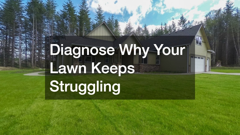 Diagnose Why Your Lawn Keeps Struggling