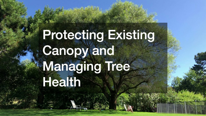 Protecting Existing Canopy and Managing Tree Health
