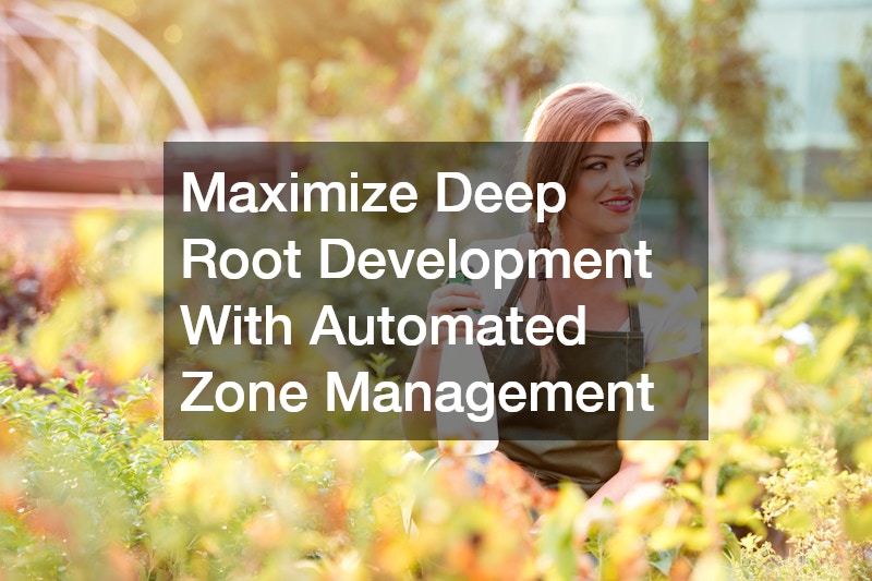 Maximize Deep Root Development With Automated Zone Management