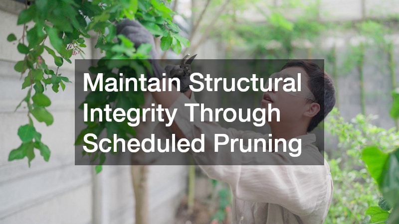 Maintain Structural Integrity Through Scheduled Pruning
