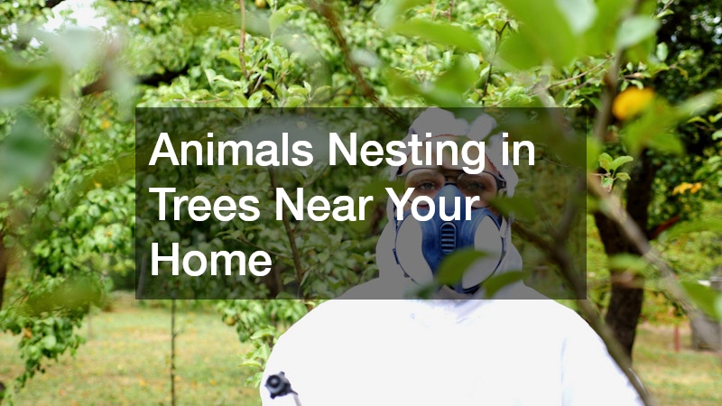Animals Nesting in Trees Near Your Home