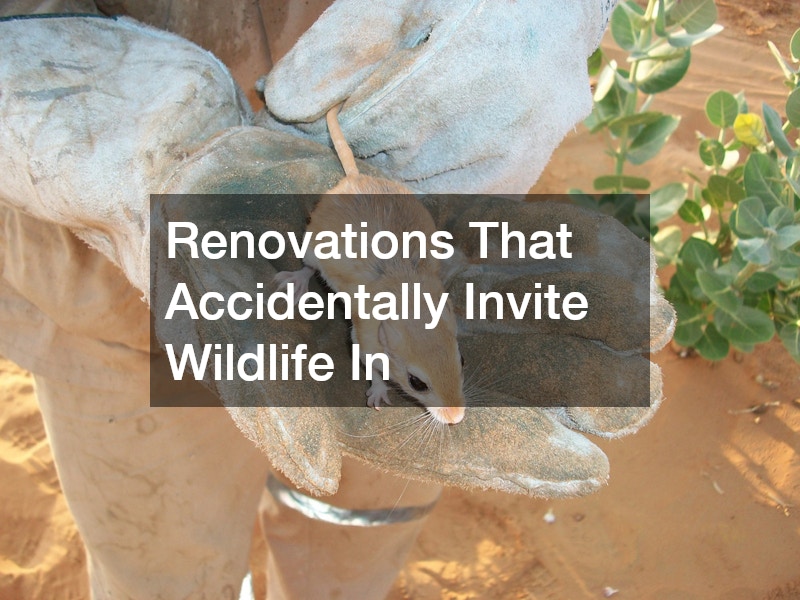 Renovations That Accidentally Invite Wildlife In