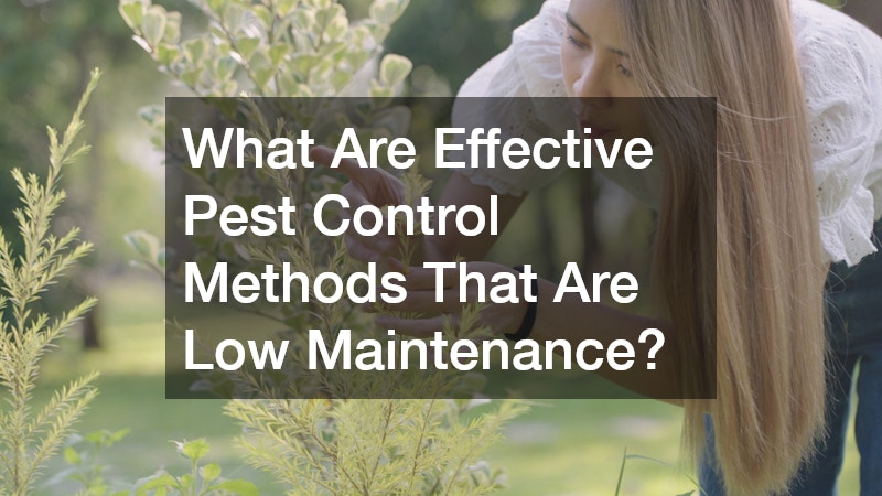 What Are Effective Pest Control Methods That Are Low Maintenance?