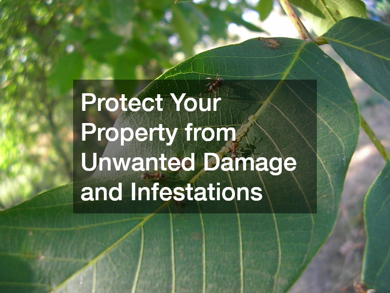 Protect Your Property from Unwanted Damage and Infestations