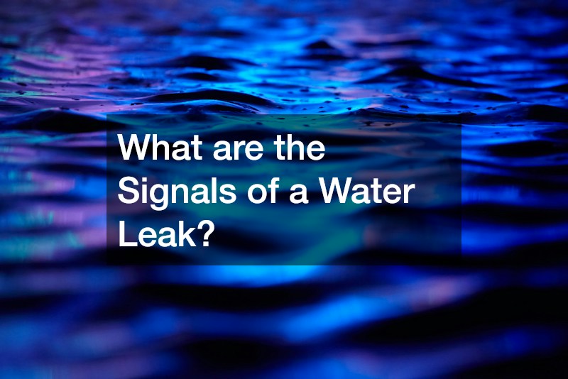 What are the Signals of a Water Leak?