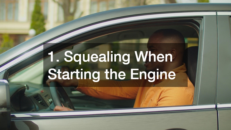1. Squealing When Starting the Engine